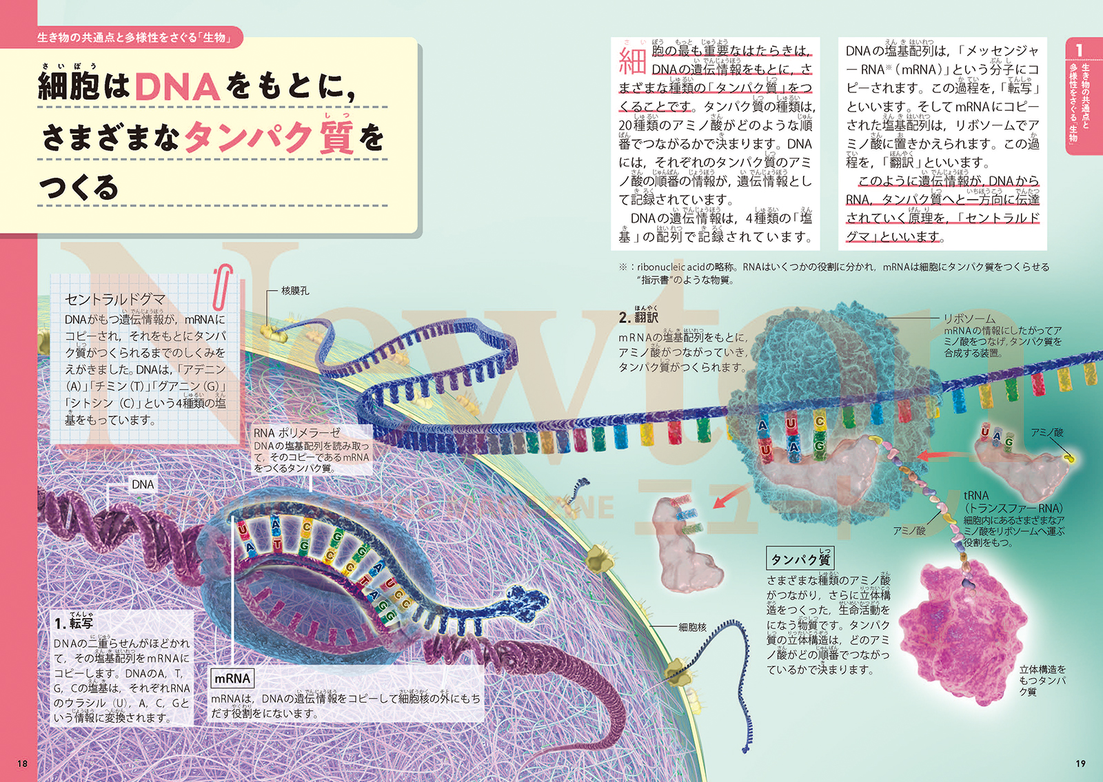超絵解本 生物、化学、物理、地学 まるごと理科 | ニュートンプレス