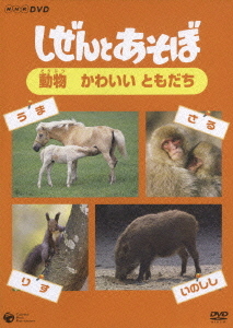 NHK DVD しぜんとあそぼ ～動物 かわいい ともだち～ 教育 DVD - Neowing