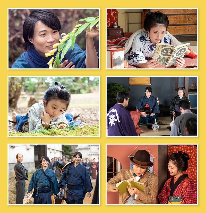 連続テレビ小説 らんまん