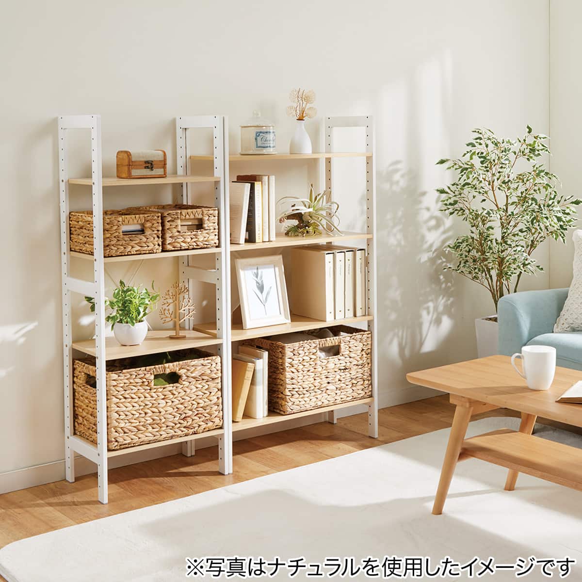 シェルフ アドバンス 幅62cm (ダークブラウン) | ニトリネット【公式