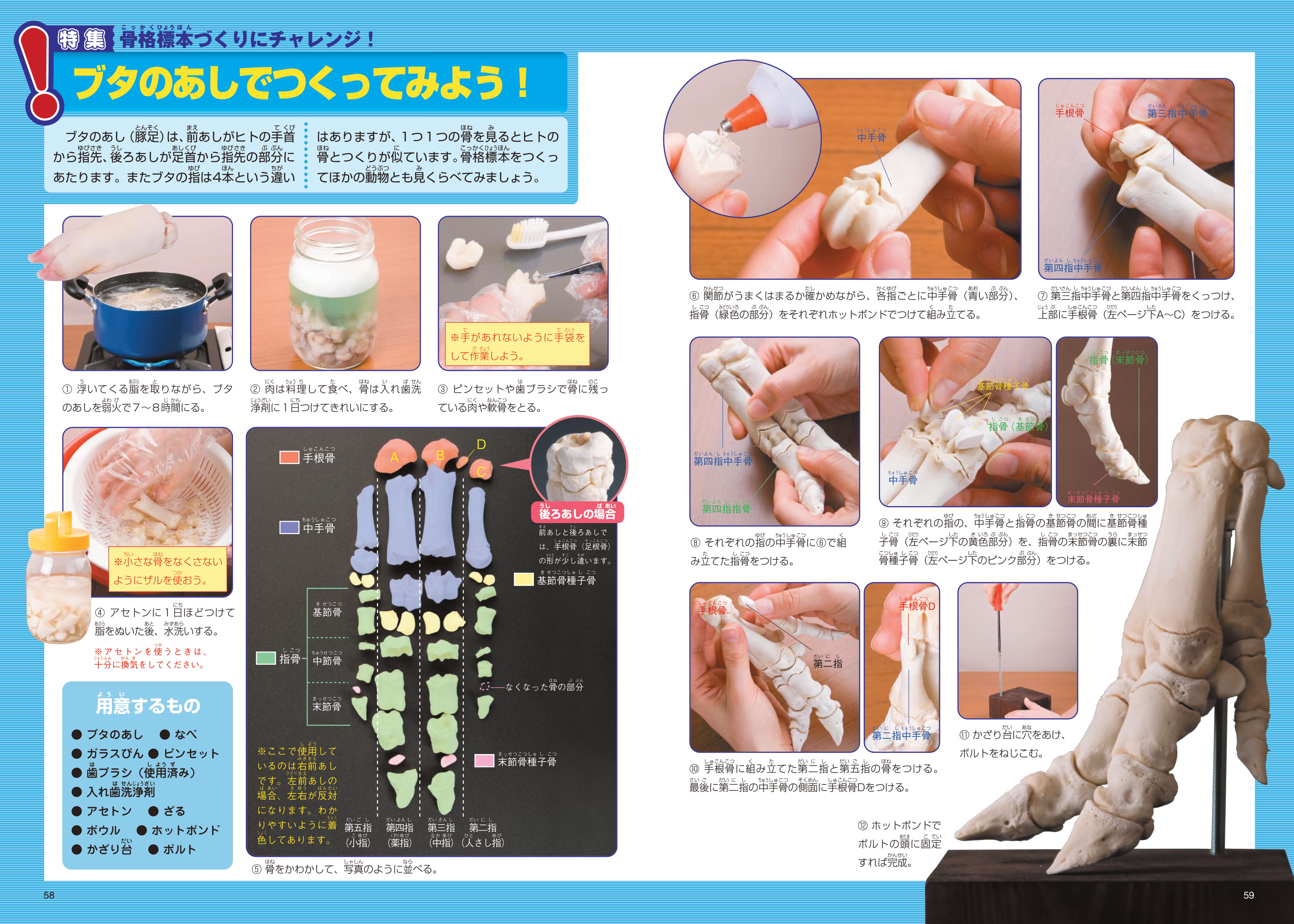 ホネホネ動物ふしぎ大図鑑 - 株式会社日本図書センター
