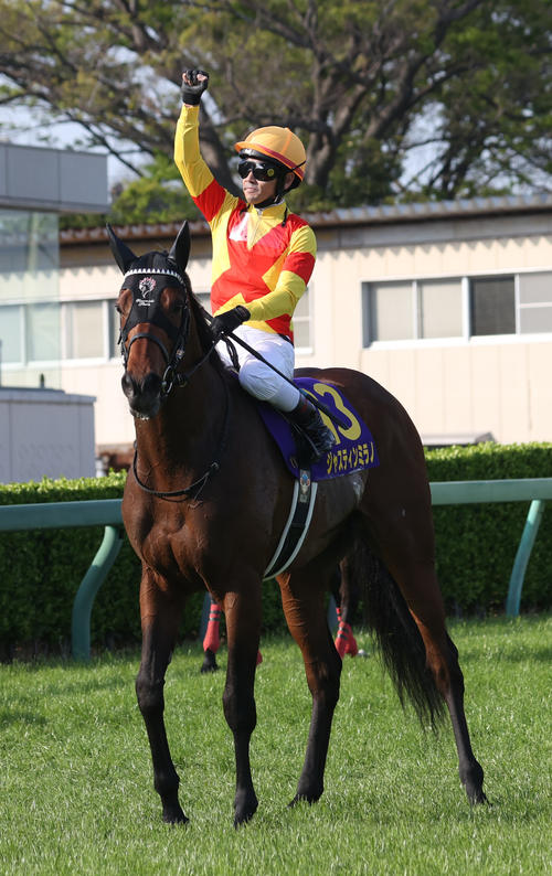 絆✨ジャスティンミラノ✨絆【デビューからクラシック軌跡】 絆