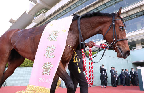 桜花賞】リバティアイランドに伝説の予感…豪脚一閃、異次元の末脚で