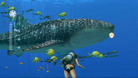 FOREVER BLUE 海の呼び声：世界中のダイビングスポットを冒険