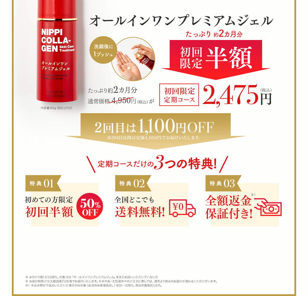 ニッピ オールインワンプレミアムジェル