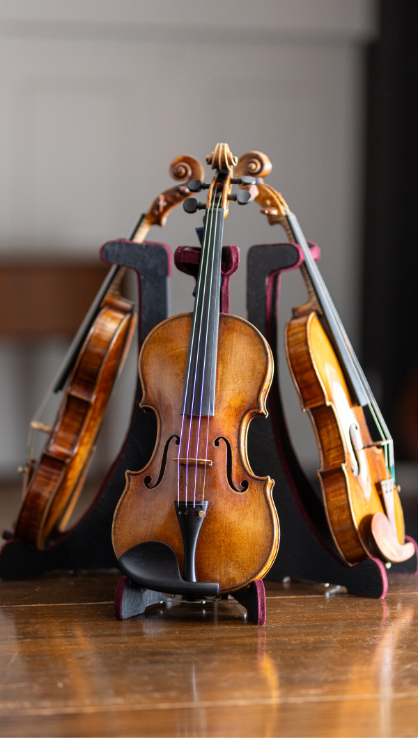 Violin (Modern) | Instrument | Nippon Violin