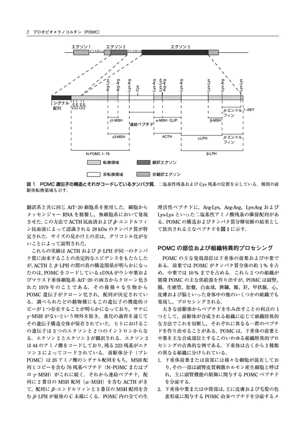概要）ストレス百科事典