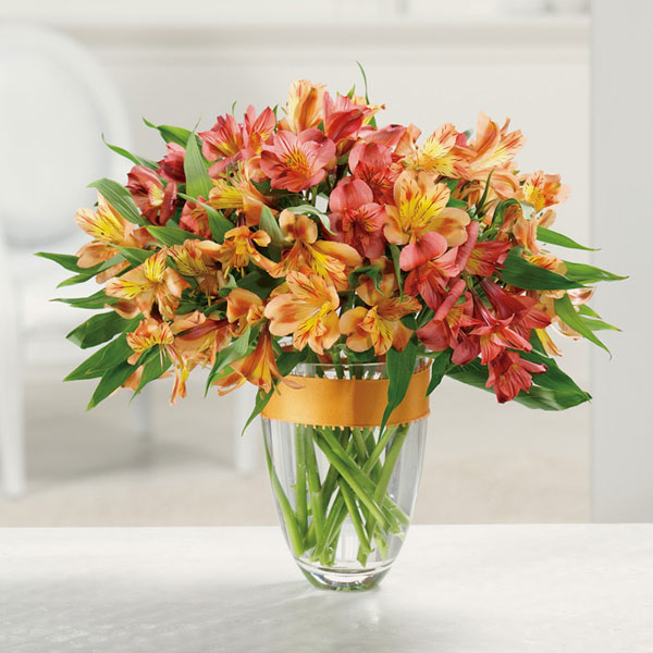Awesome Alstroemeria :: Smiths Flowers