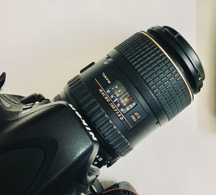 Tokina AT-X M100 PRO D AF 100mm f/2.8 MACRO (for Nikon) - Snap Snails