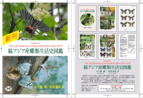 導入事例 「続アジア産蝶類生活史図鑑」 | 相談できる冊子印刷