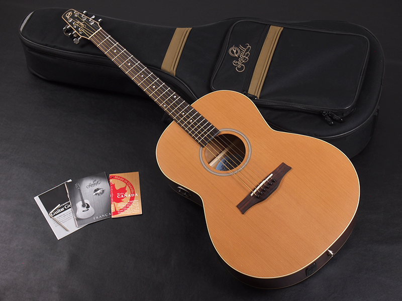 Seagull(Canada) Coastline S6 Folk Cedar Quantum 1 税込販売価格