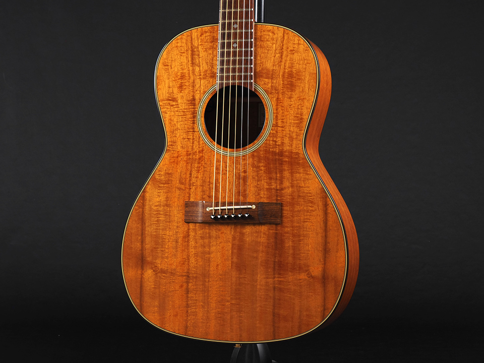 激希少・美品】Takamine PTU408K N エレアコ セミハードケース 激希少