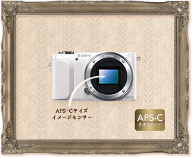美しさにこだわるなら、ソニーのAPS-Cクオリティー | デジタル一眼