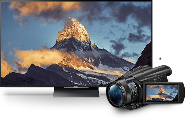 FDR-AX700 | デジタルビデオカメラ Handycam ハンディカム | ソニー