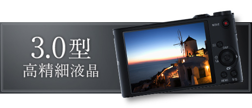 DSC-WX300 特長 : 光学20倍プレミアム・ハイズーム | デジタルスチル