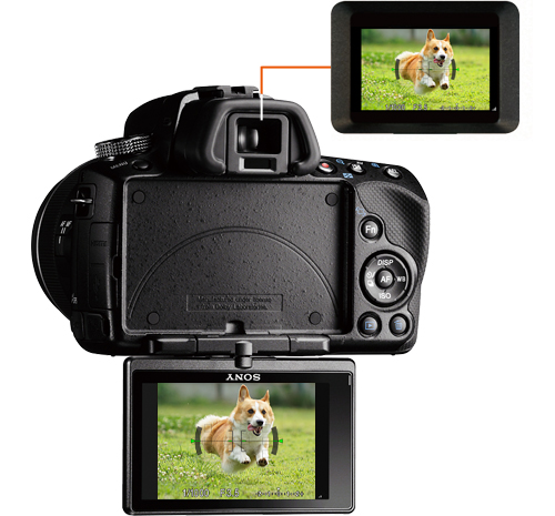 SLT-A33 特長 : 進化した「クイックAFライブビュー」機能 | デジタル