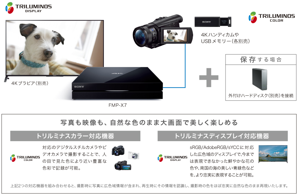 FMP-X7 特長 : その他の特長 | テレビ ブラビア | ソニー