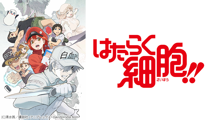 はたらく細胞!!』関連商品 | Sony Music Shop・CD・DVD・ﾌﾞﾙｰﾚｲ