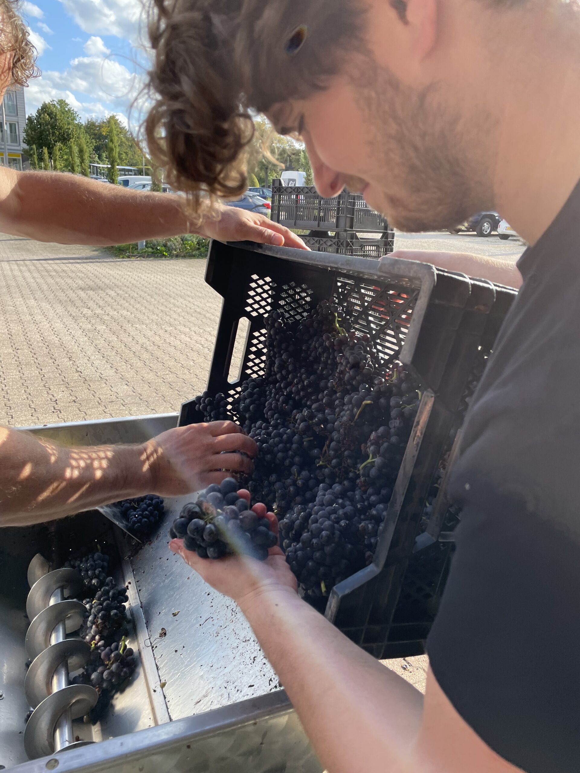 Pinot Noir Barrique 2022 (Last Bottles) - SOBER-ZAVEL