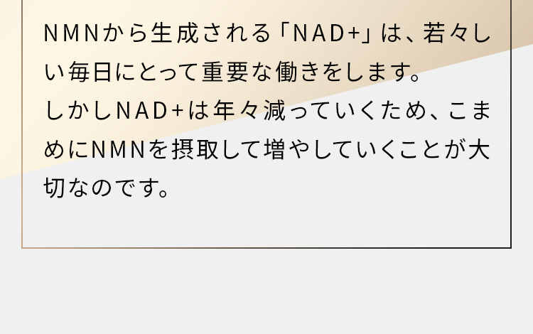 サン・クラルテ製薬ゼウスEX - サン・クラルテ製薬