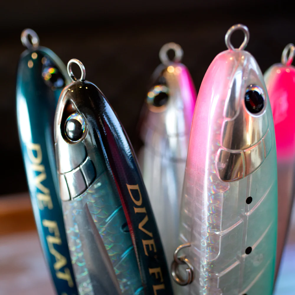 Shimano Ocea Dive Flat 240F - Saltywater Tackle Inc.