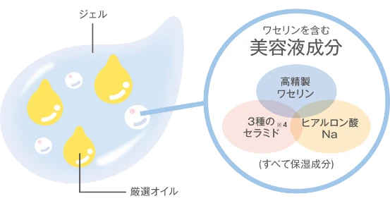 ワセリズム｜SANA（サナ）｜