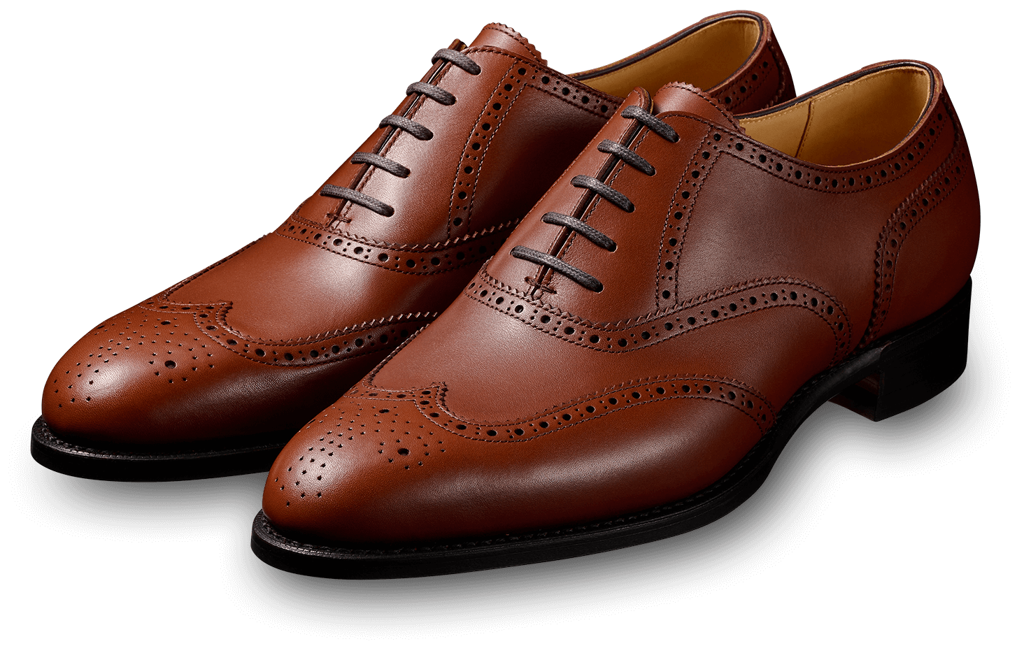 三陽山長 ｜ 特別誂靴図鑑 ｜ 鷲六郎