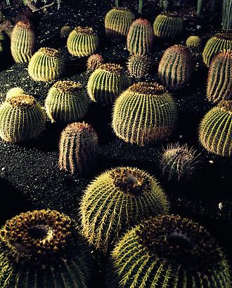 Andreas Gefeller - Artists - Sarah Hasted