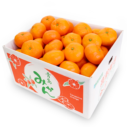 ささ農園オンラインショップ / 青島みかん 2Lサイズ(4.5kg)