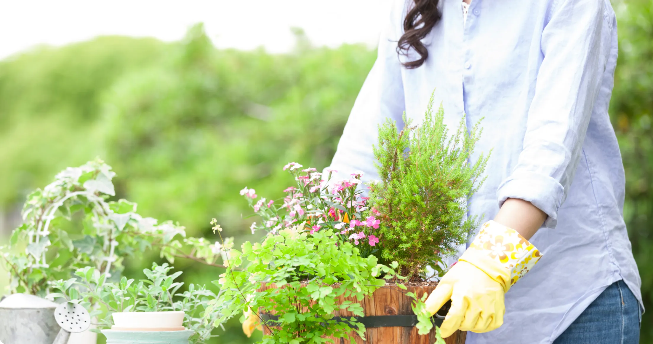 ガーデニング・園芸のことならKINCHO園芸