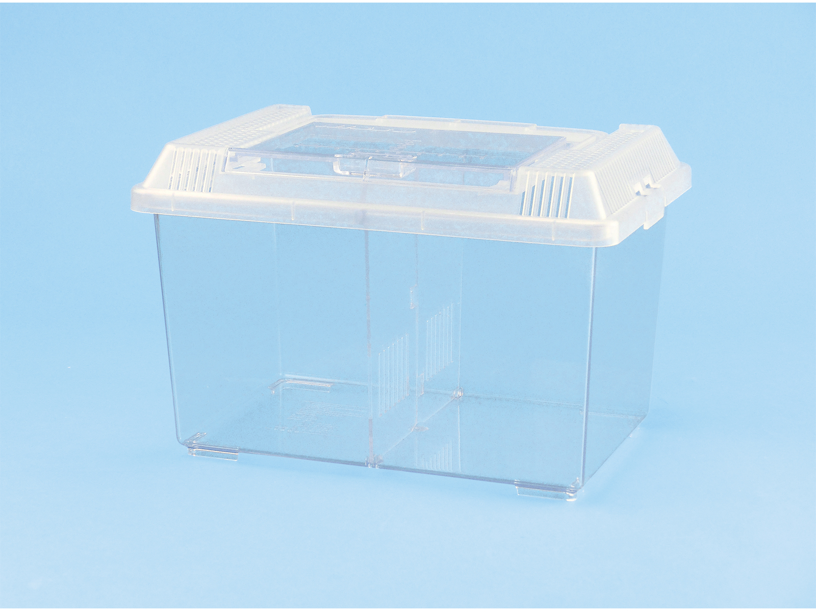 自然な木目の丸太 樹洞 丸洞 桐老木 昆虫飼育箱 自然な木目の丸太 樹洞