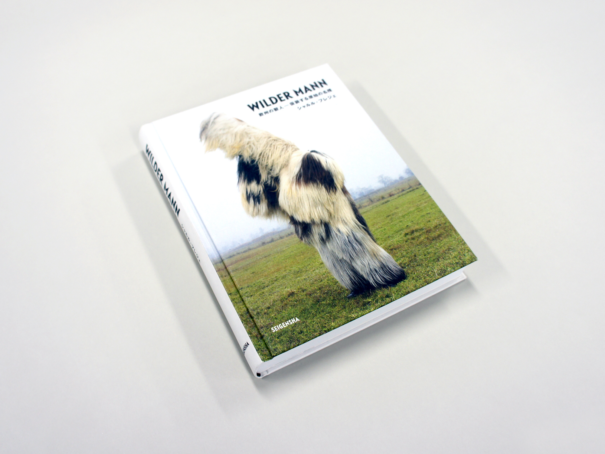 WILDER MANN （ワイルドマン） ―欧州の獣人 仮装する原始の名残｜青幻