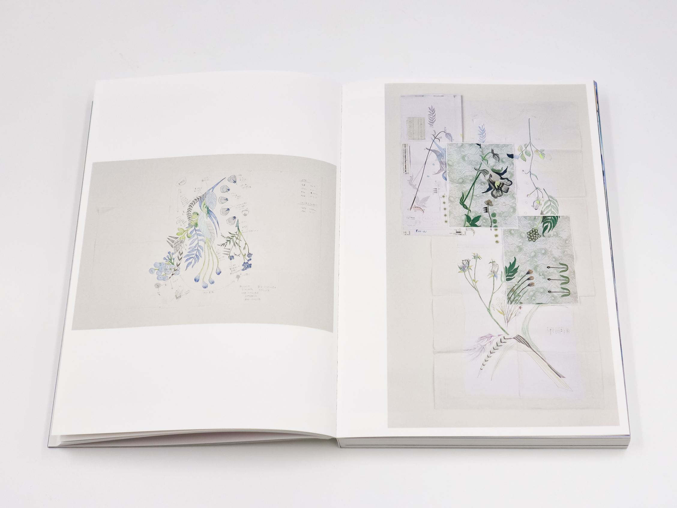 10 Mame Kurogouchi｜青幻舎 SEIGENSHA Art Publishing, Inc.