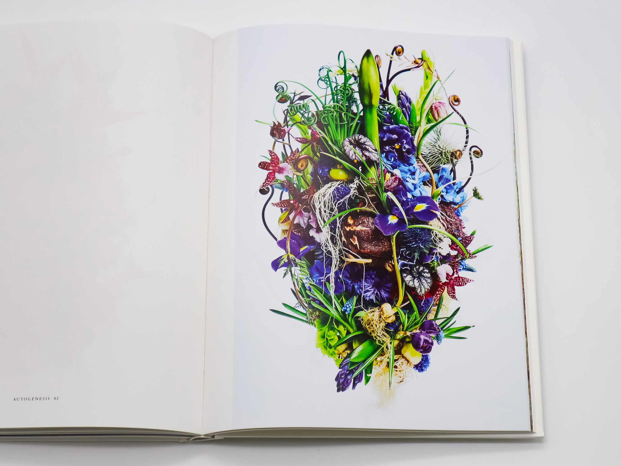 WILD FLOWERS 植物図鑑 ボタニカルアート 洋書 古書 サワビー WILD