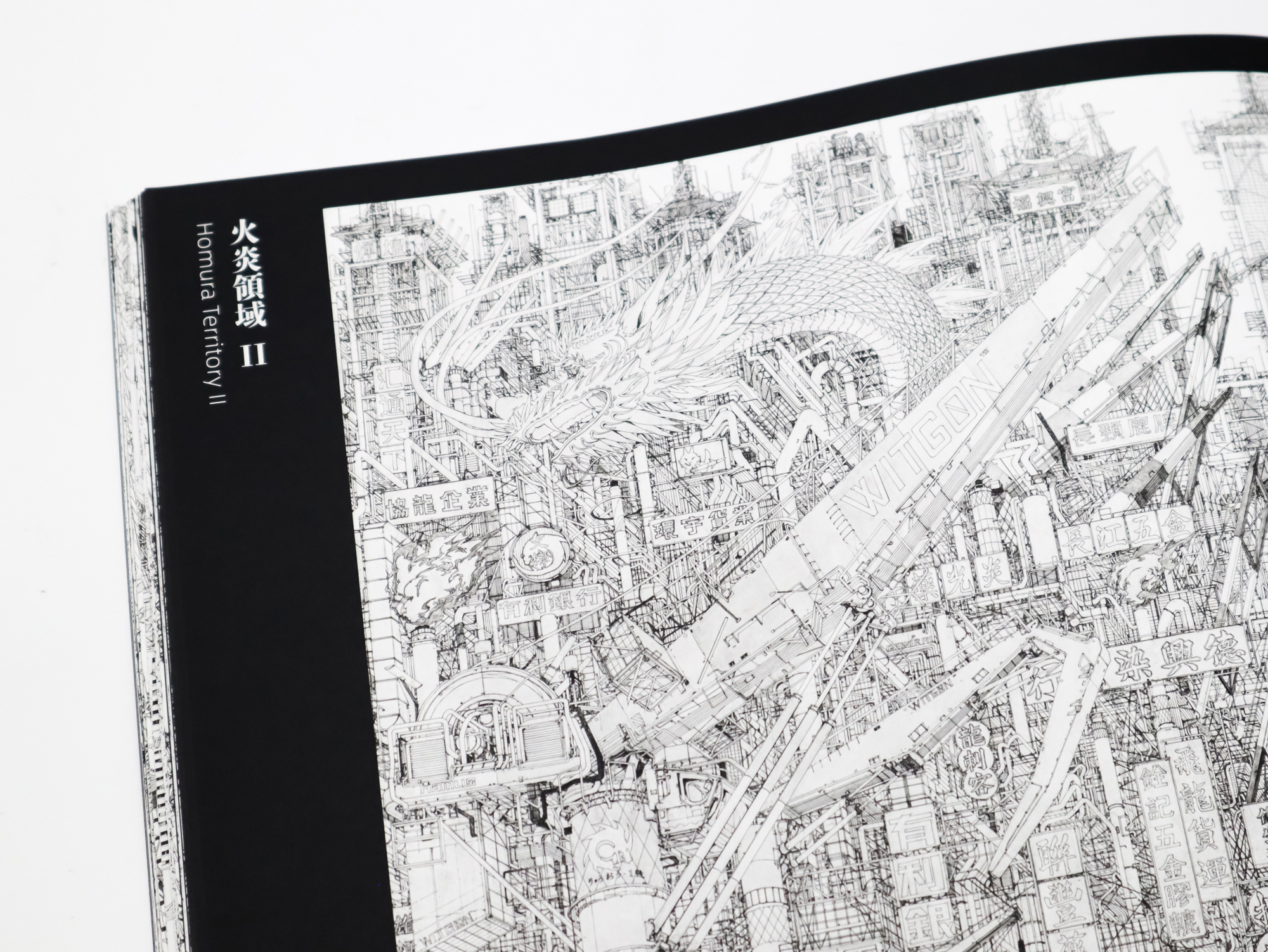 田島大介 超越界限 DAISUKE TAJIMA BEYOND THE LINES｜青幻舎