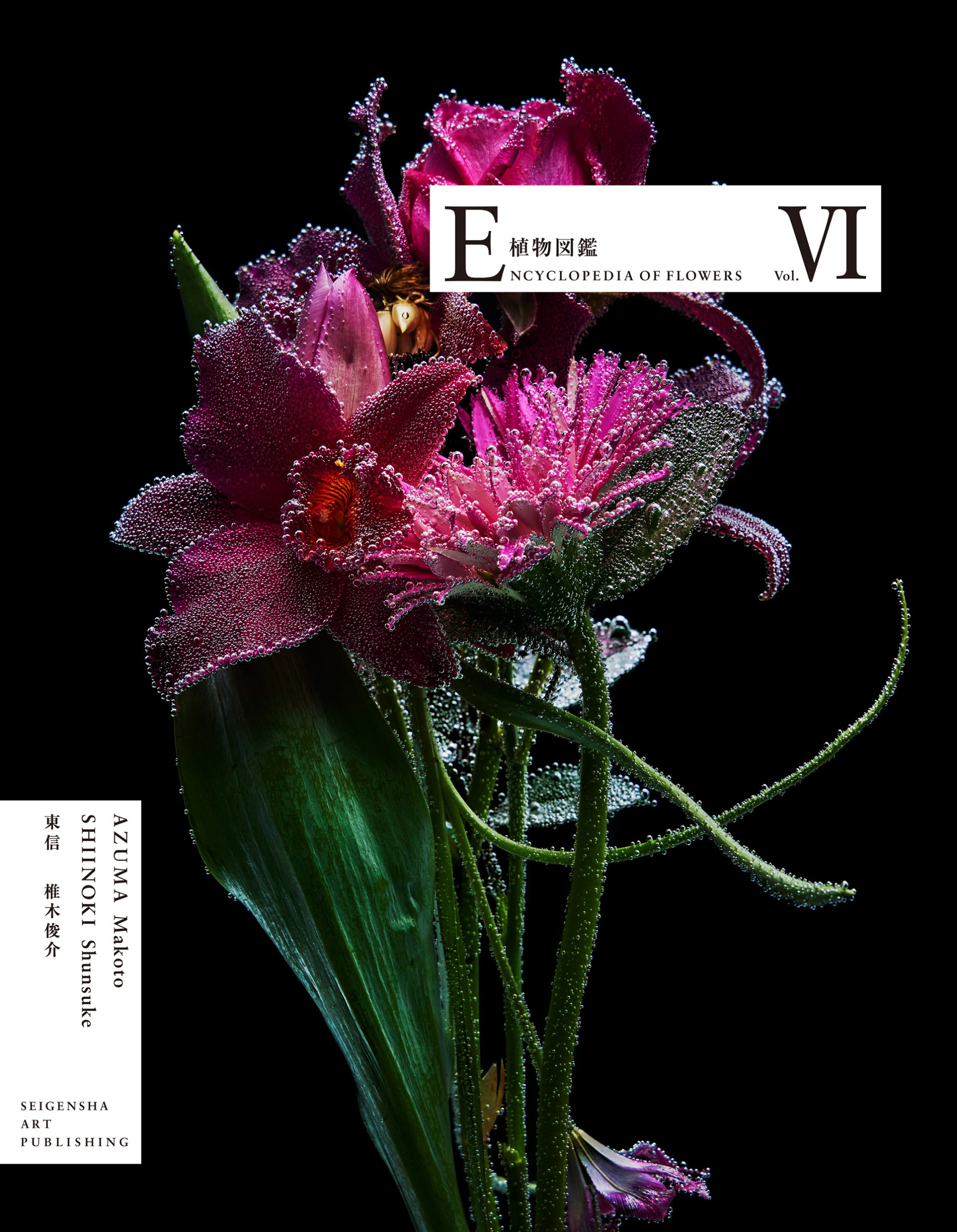 ENCYCLOPEDIA OF FLOWERS Ⅵ 植物図鑑｜青幻舎 SEIGENSHA Art