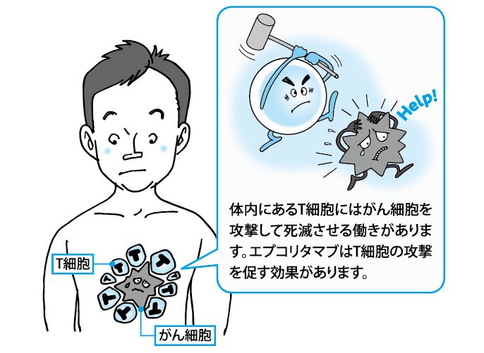 JAHAオンラインセミナー リンパ腫から固形癌まで 困難な腫瘍との闘い方