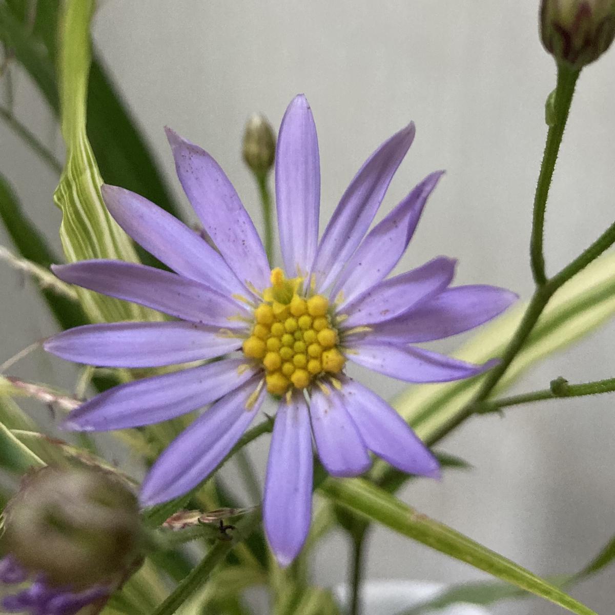 img_cache_a_64493_1_1695952671