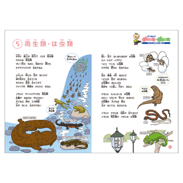 うたって覚えよう♪理科の歌・社会の歌【CD/DVD教材】 | 七田式公式通販