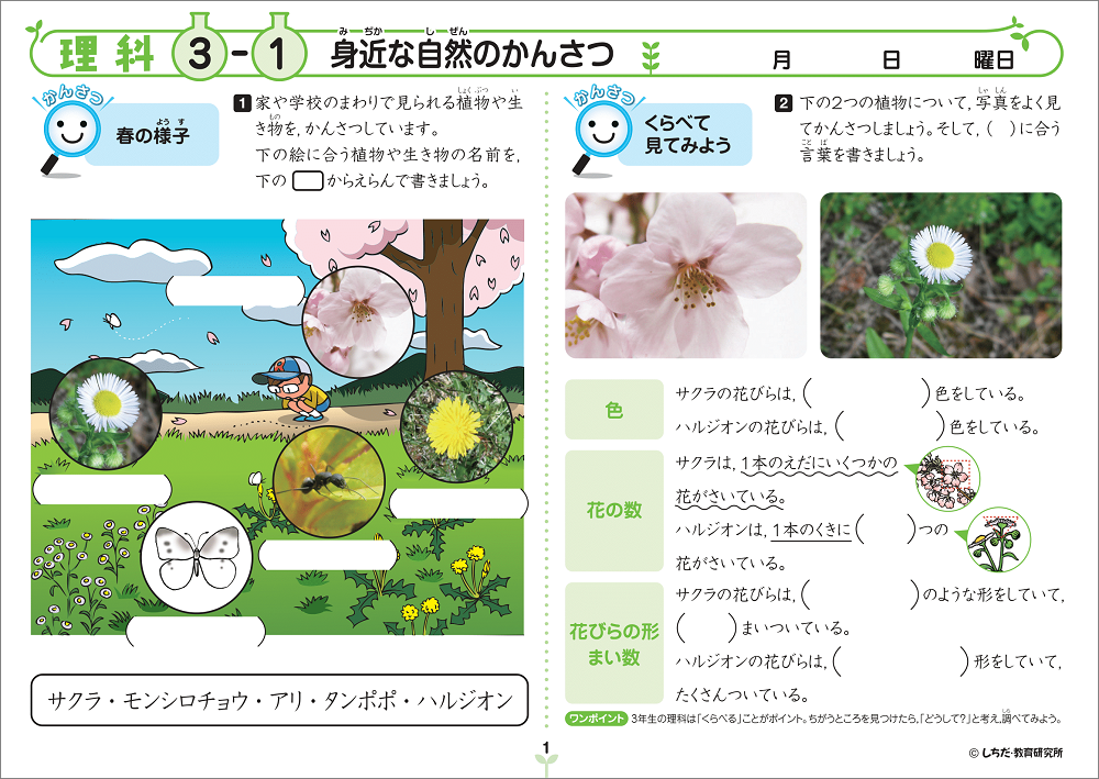 小学生プリント理科・社会3年生【プリント教材】 | 七田式公式通販