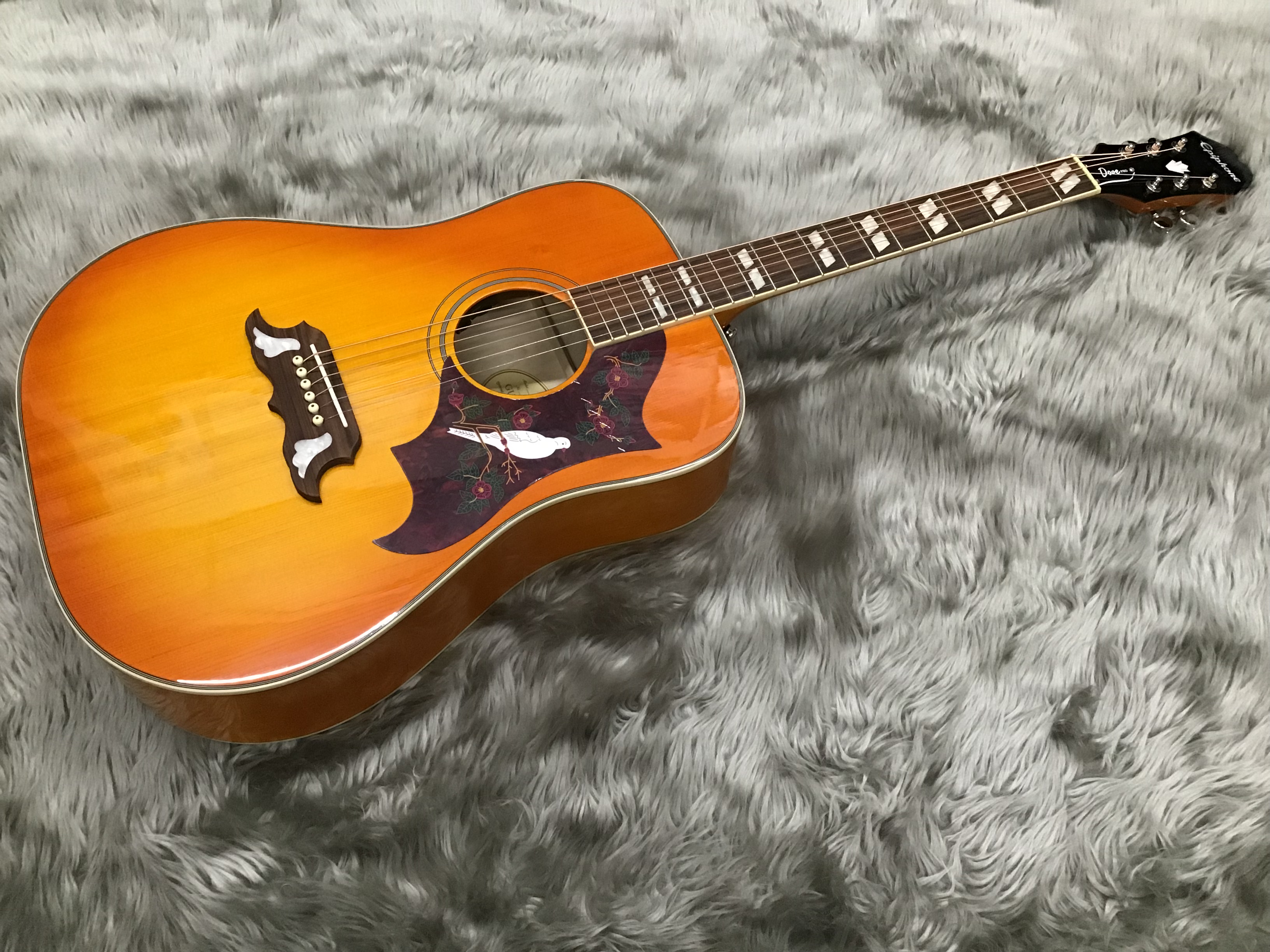 エレアコ】Epiphone DOVE PRO｜島村楽器 イオンモール直方店