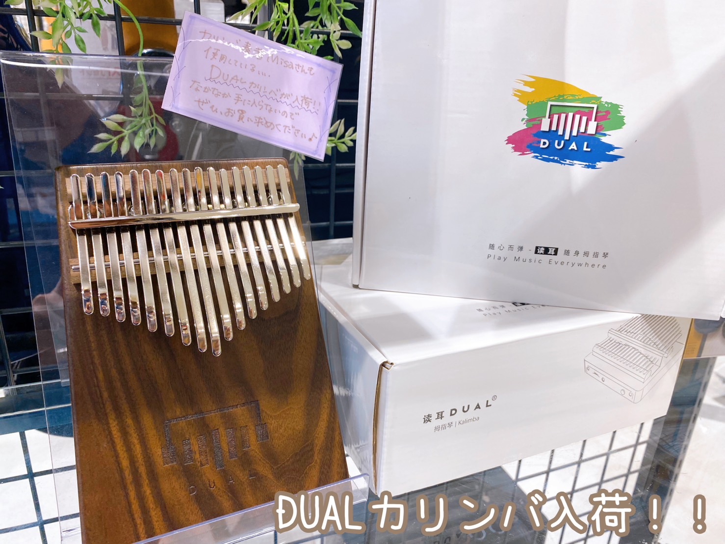 カリンバ】「April Yang Dual Kalimba D1」入荷しました！｜島村楽器