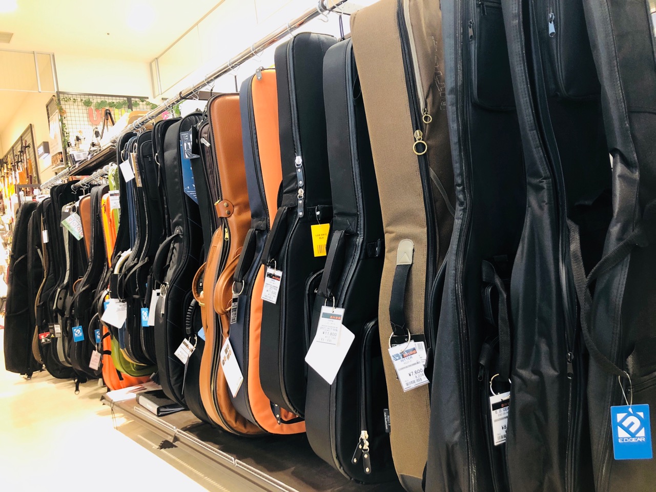 楽器ケース】和歌山店のエレキギターのケースをご紹介♪｜島村楽器