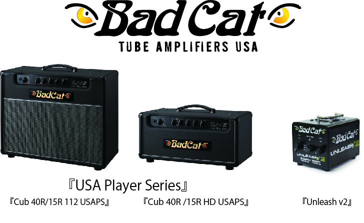 コストパフォーマンスに優れたアンプを4機種と 人気のリアンプ