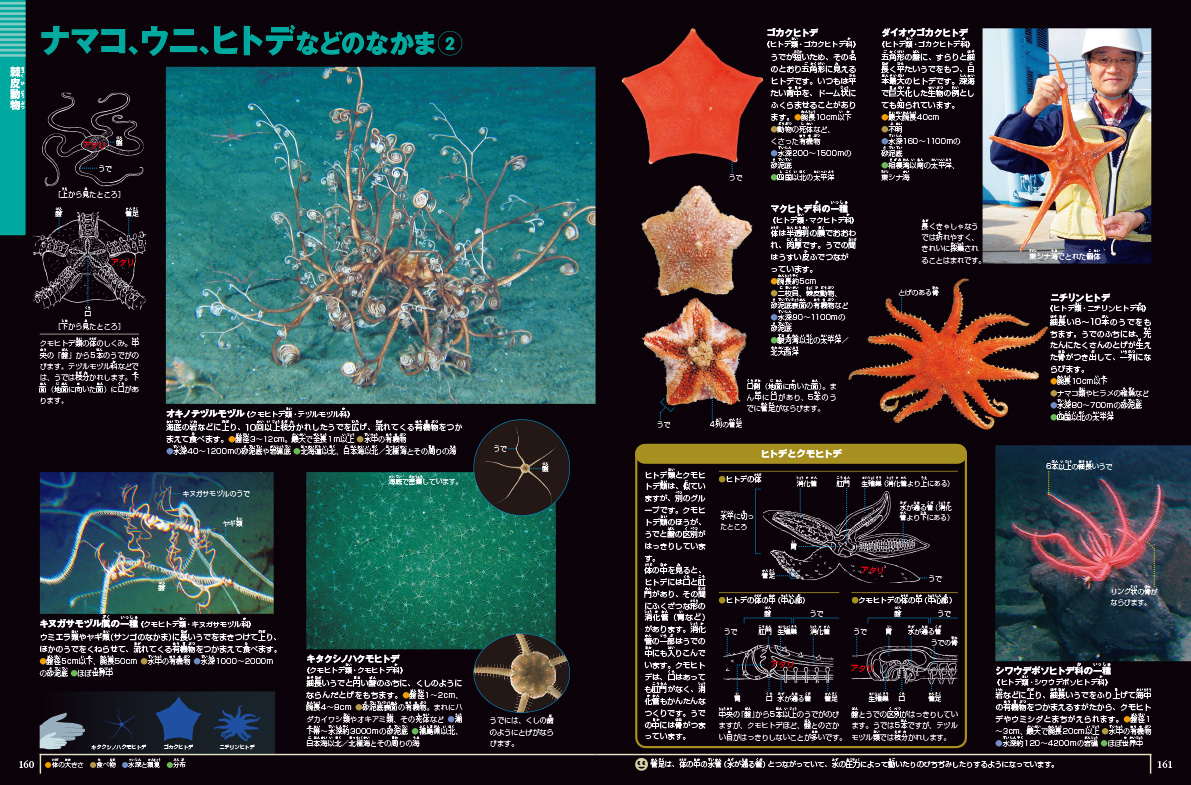深海生物 DVDつき | 小学館の図鑑NEOシリーズ | 小学館