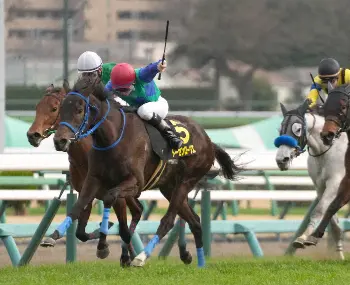 アネモネS】トーセンローリエが3連勝 またもサトノクラウン産駒