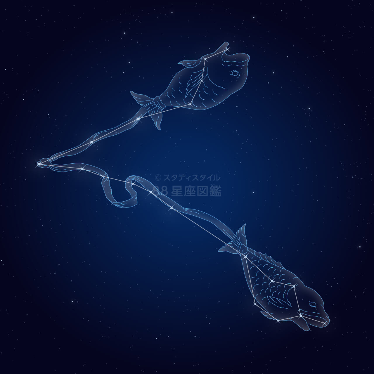 うお座（魚座）｜やさしい88星座図鑑