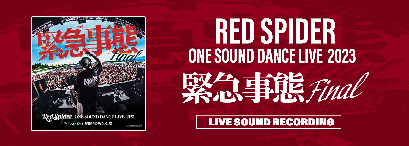 レゲエ CD DVD レゲエCD カセット まとめ売り