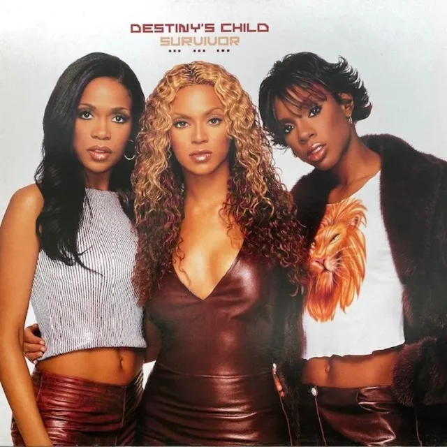DESTINY'S CHILD / SURVIVOR [12inch - 6707496000]：R&B：アナログ