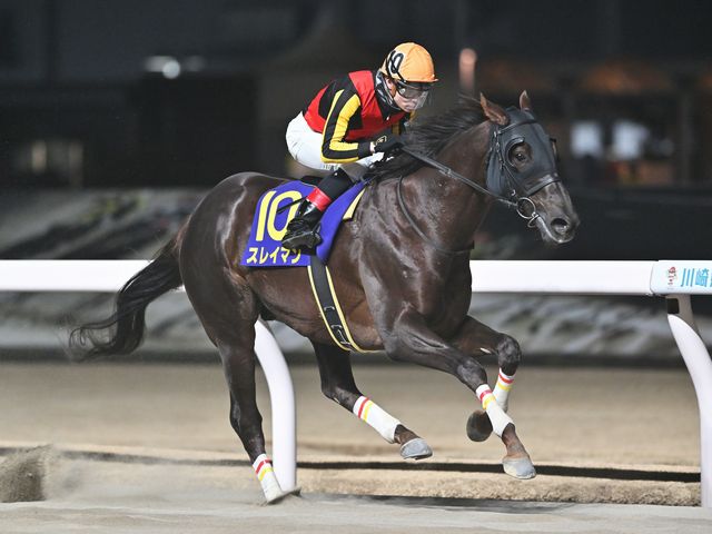 Sunday Thoroughbred Club サンデーサラブレッドクラブ